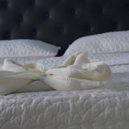 Hostal Magica Noche Filandia Otel Dış mekan fotoğraf