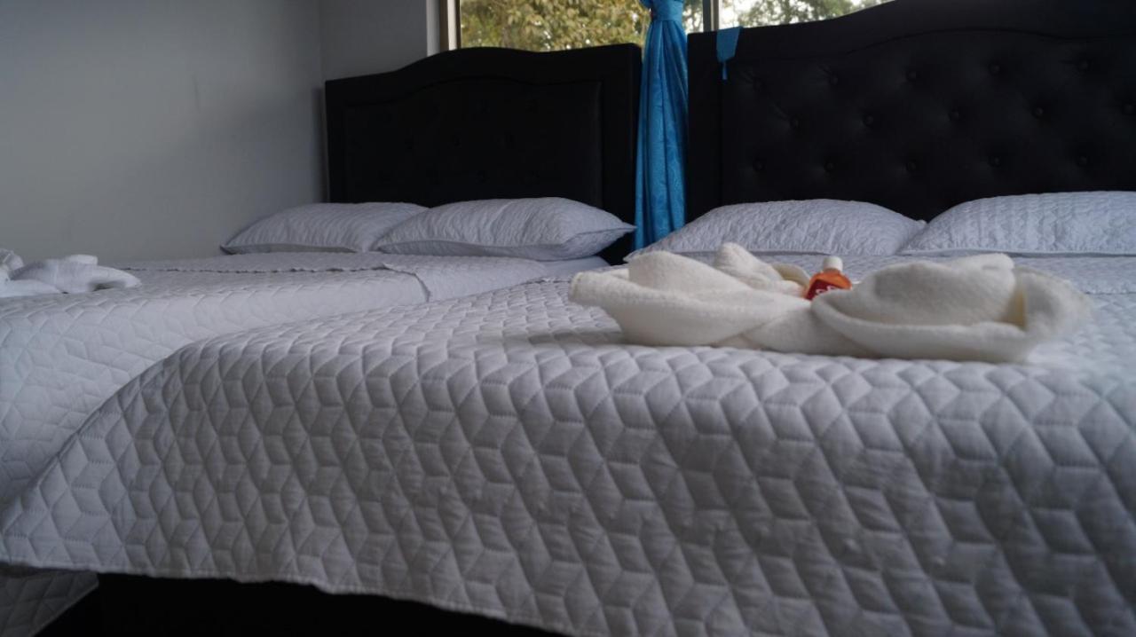 Hostal Magica Noche Filandia Otel Dış mekan fotoğraf
